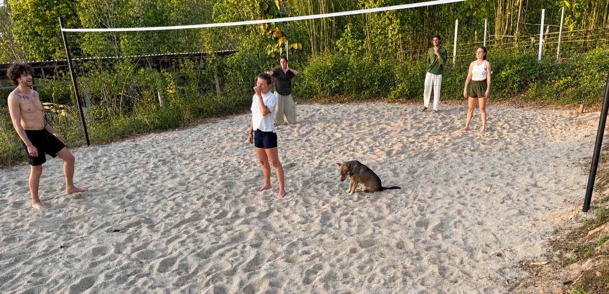 Guests on the sand volleyball court at Bungalows & Bunks in Pai, with a dog sitting on the sand and bamboo around the net.
